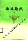 王林选集  下