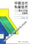 中国当代私营经济  理论与实践的透视
