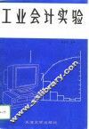 工业会计实验