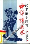 中华搏击术  武术散手精粹