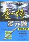 综合素质训练·金榜多元题智能解题  初中数学