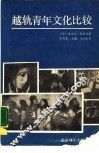 越轨青年文化比较