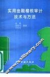实用金融稽核审计技术与方法