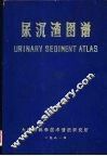 尿沉渣图谱