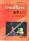 Visual Basic编程入门