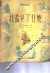 我看见了什么