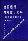 建设银行内部审计实务