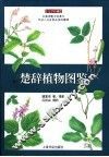 楚辞植物图鉴