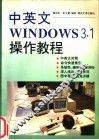 中英文Windows 3.1操作教程