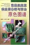 葱蒜类蔬菜病虫害诊断与防治原色图谱