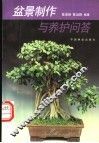 盆景制作与养护问答