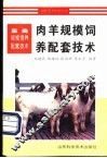 肉羊规模饲养配套技术