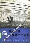 塑料大棚蔬菜生产实践