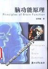 脑功能原理