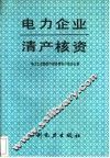 电力企业清产核资