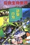 动物行为