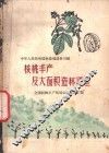 核桃丰产及大面积造林经验  全国核桃生产现场会议文件汇编