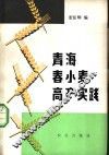 青海春小麦高产实践