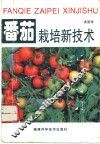 番茄栽培新技术