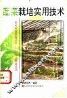 蔬菜栽培实用技术