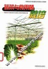 蔬菜与食用菌栽培