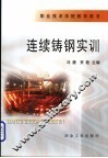 连续铸钢实训