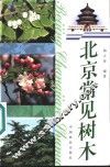 北京常见树木