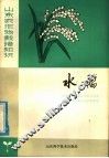 水稻