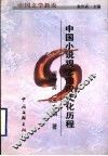 中国文学新论  中国小说观念的现代化历程