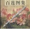 百莲图集  中英文本