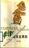 迷失在西部