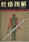 经络图解