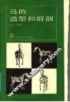 马的造型和解剖