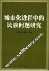 城市化进程中的民族问题研究