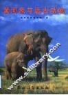 黄河象与远古动物  图集
