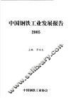 中国钢铁工业发展报告  2005