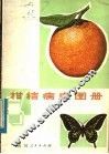 柑桔病虫图册