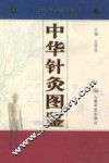 中华针灸图鉴