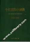 今日南阳小城镇  1990-1999