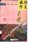 成功作文大观  小学卷