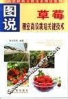 图说棚室草莓高效栽培关键技术
