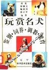 玩赏名犬鉴别、饲养、调教、繁育