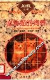 宠物猫的饲养