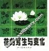 花的写生与变化