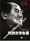我的文学生涯