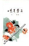 一束芙蓉花