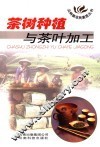 茶树种植与茶叶加工