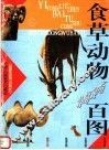 食草动物百图