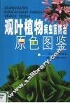 观叶植物病虫害防治原色图鉴