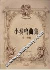 小奏鸣曲集